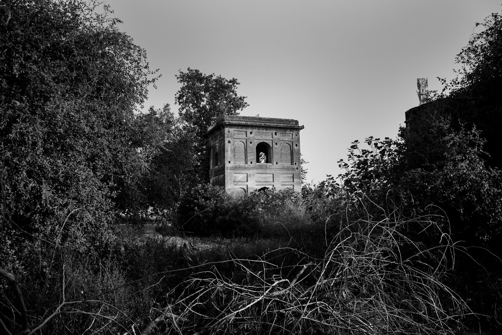 Drawn into Two, Which Way Home? by Taha Ahmad, photograph 8