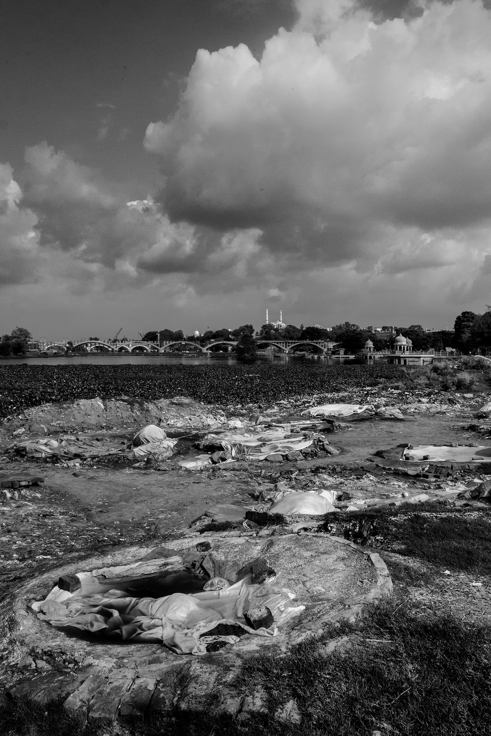 Swan Song of the Badlas by Taha Ahmad, photograph 20