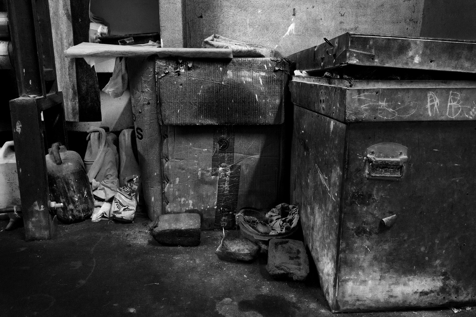 Swan Song of the Badlas by Taha Ahmad, photograph 29